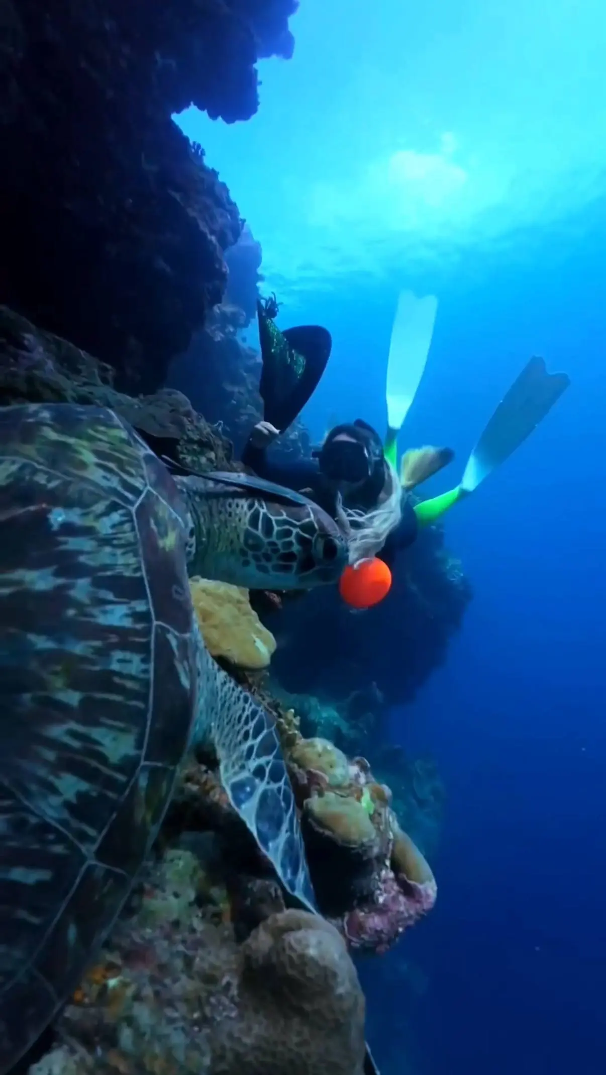 С Хеллоуином 🎃