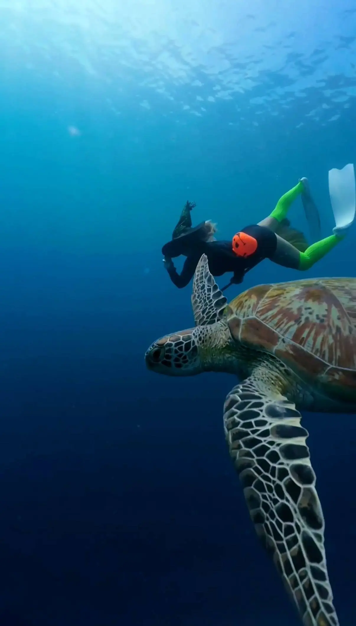 С Хеллоуином 🎃