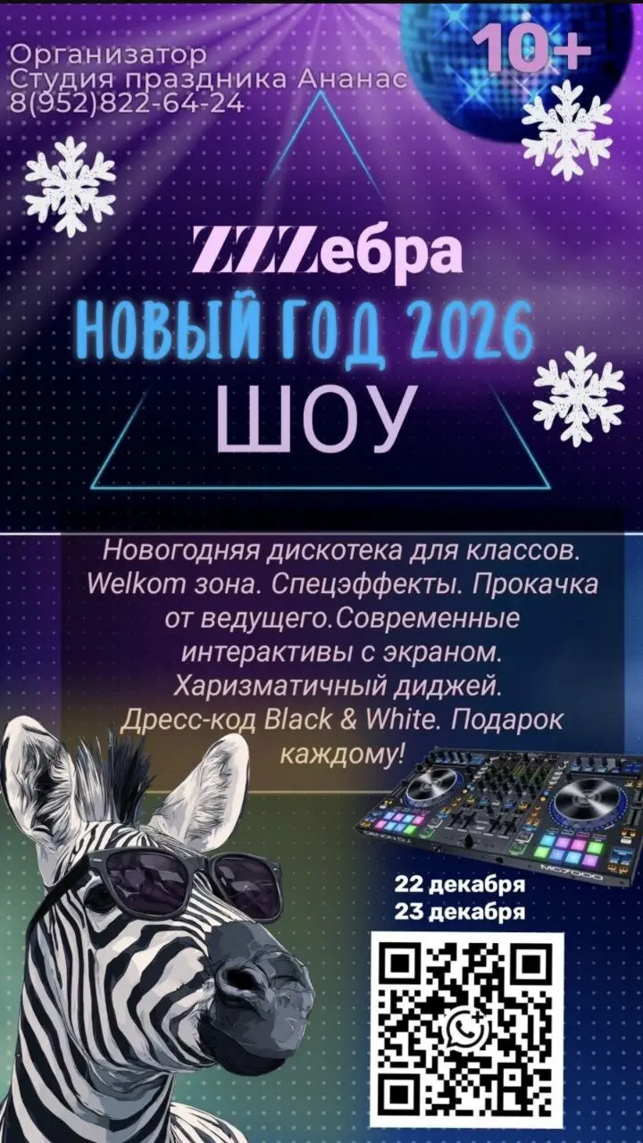 Зебра Шоу — Новогодняя дискотека для классов