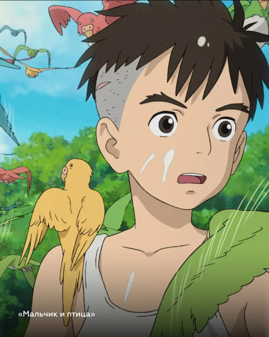 ОТПРАВЛЯЕМСЯ СМОТРЕТЬ ШЕДЕВРЫ ОТ МИЯДЗАКИ ДО СИНКАЯ НА БОЛЬШОМ ЭКРАНЕ