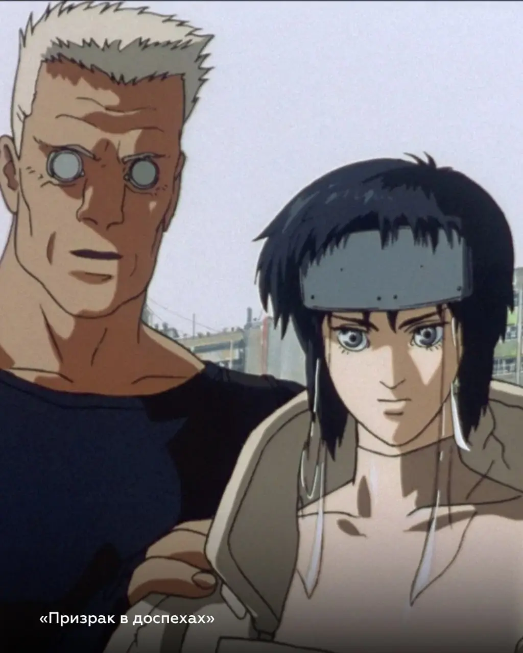 ОТПРАВЛЯЕМСЯ СМОТРЕТЬ ШЕДЕВРЫ ОТ МИЯДЗАКИ ДО СИНКАЯ НА БОЛЬШОМ ЭКРАНЕ