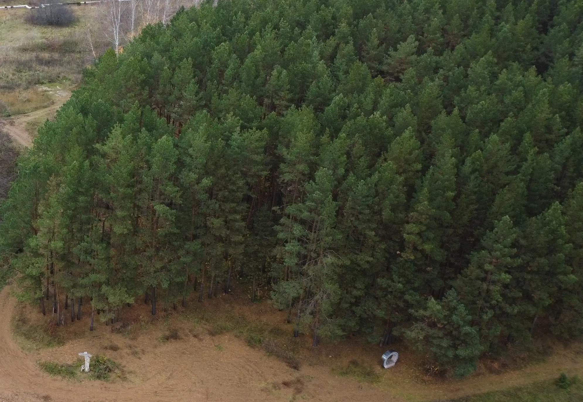 Субботник в сосновом бору