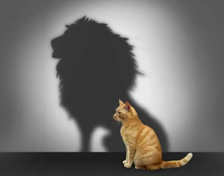 ТРЕНИНГ-ИНТЕНСИВ на прокачку УВЕРЕННОСТИ В СЕБЕ!