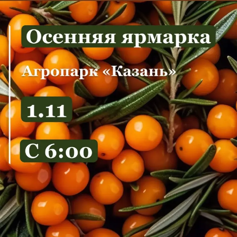 Осенняя ярмарка