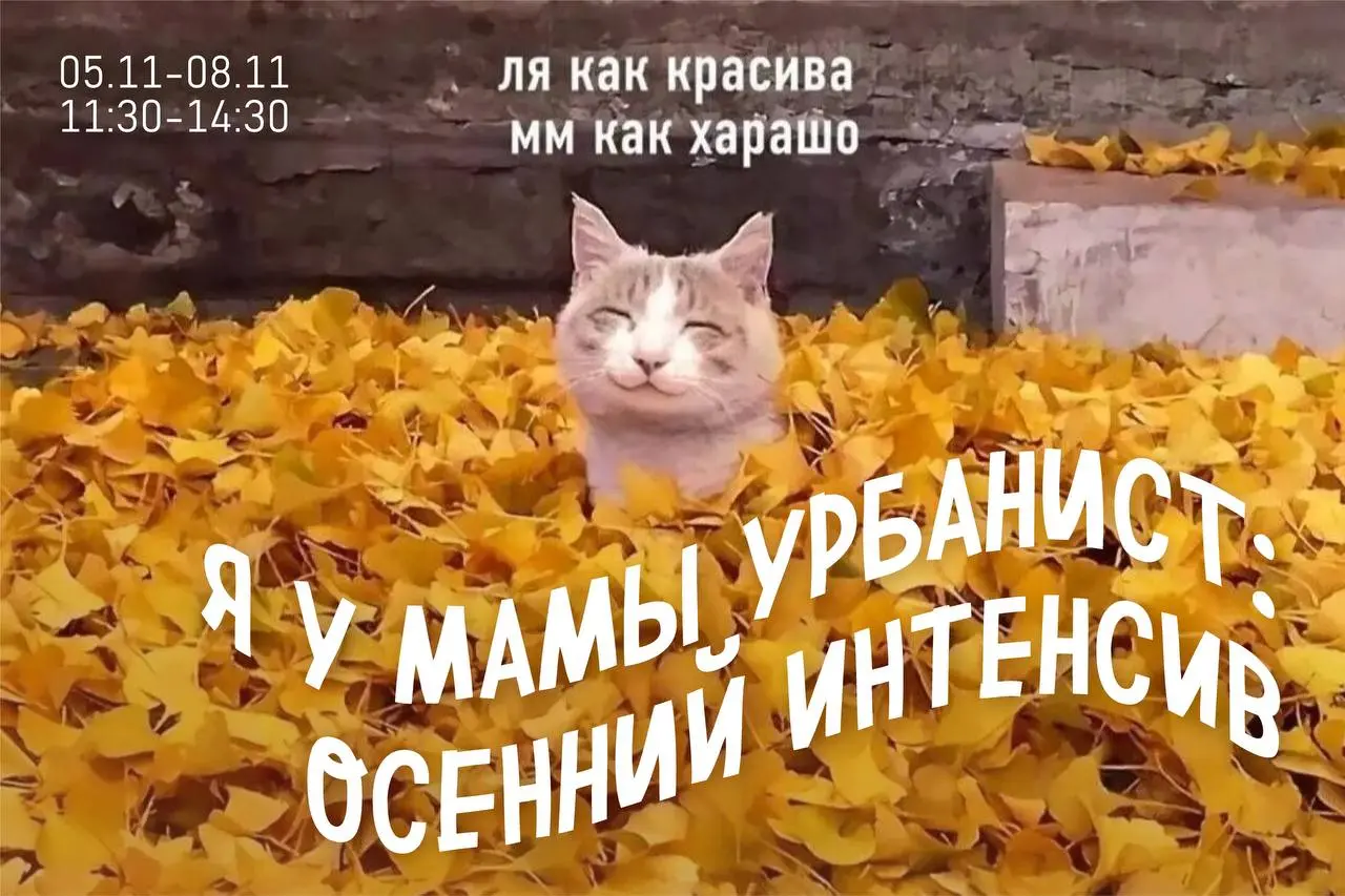 Осенние каникулы в «Зелёнке» — творческий интенсив «Я у мамы урбанист»