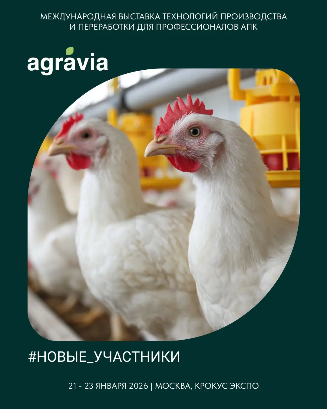 AGRAVIA Livestock&Poultry: участники секции Птицеводство (генетика, оборудование и кормление)