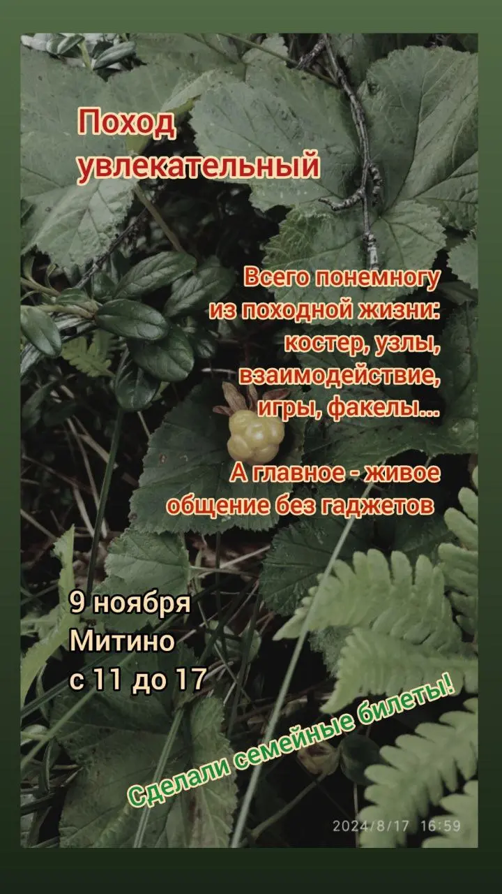 Внеплановый поход