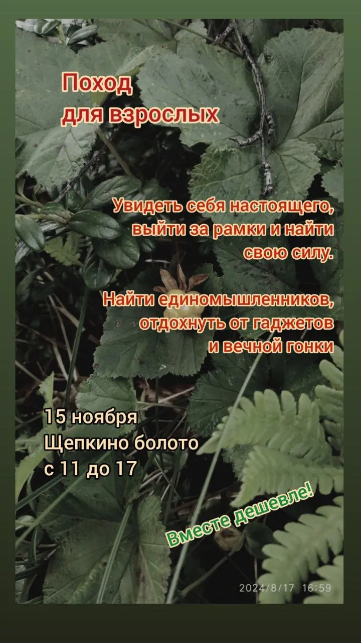 Внеплановый поход