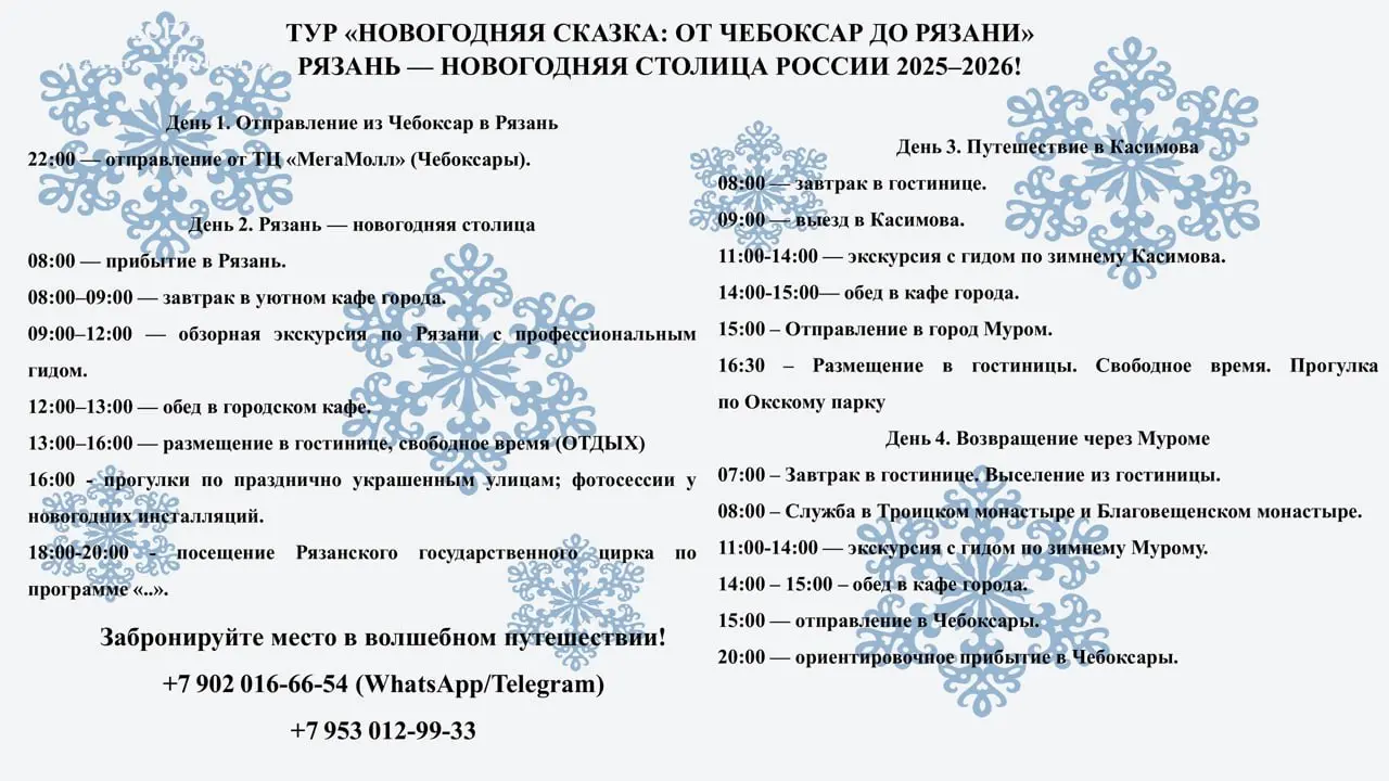 НОВОГОДНЯЯ СКАЗКА: ОТ ЧЕБОКСАР ДО РЯЗАНИ