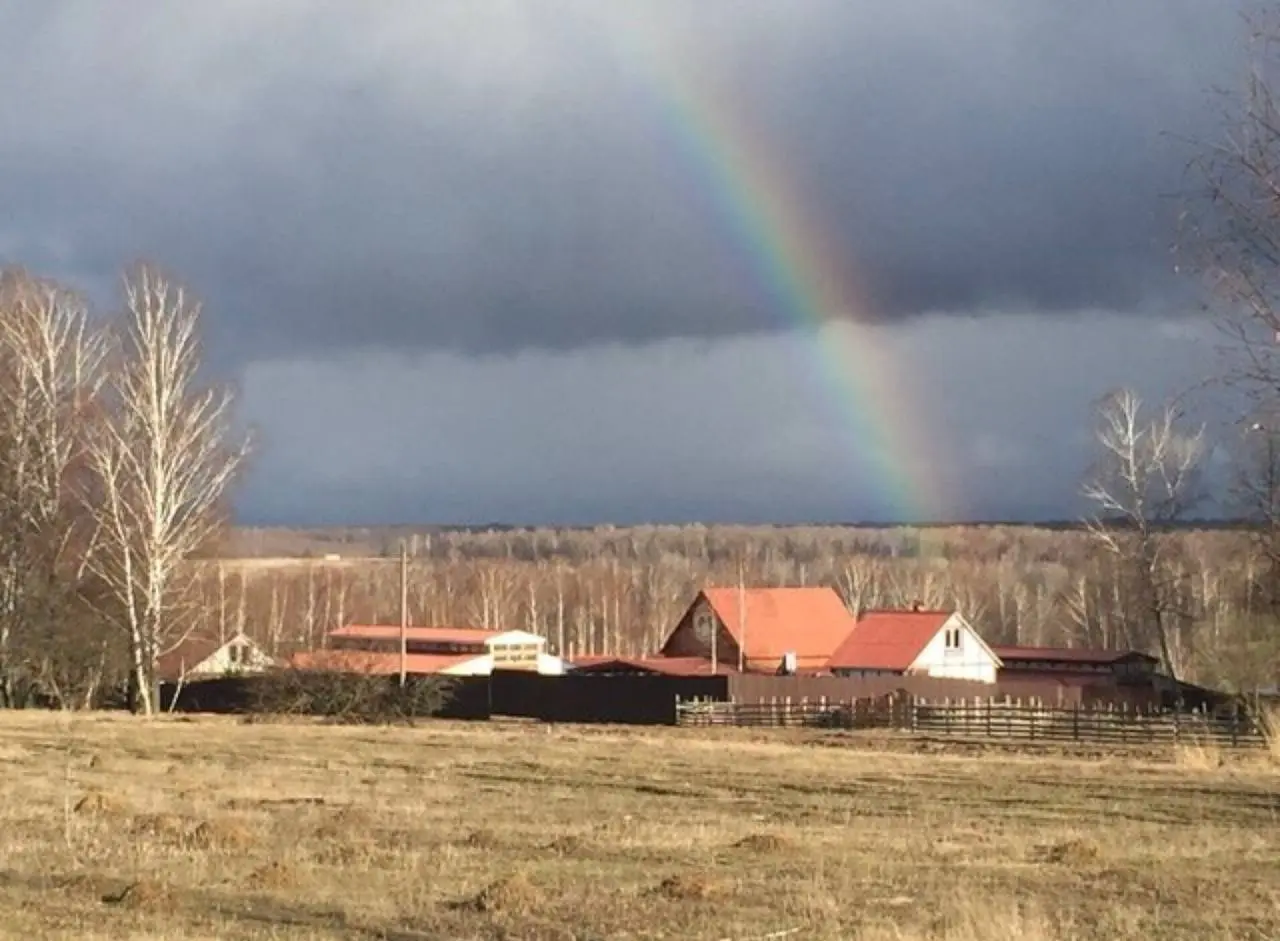 перезагрузка