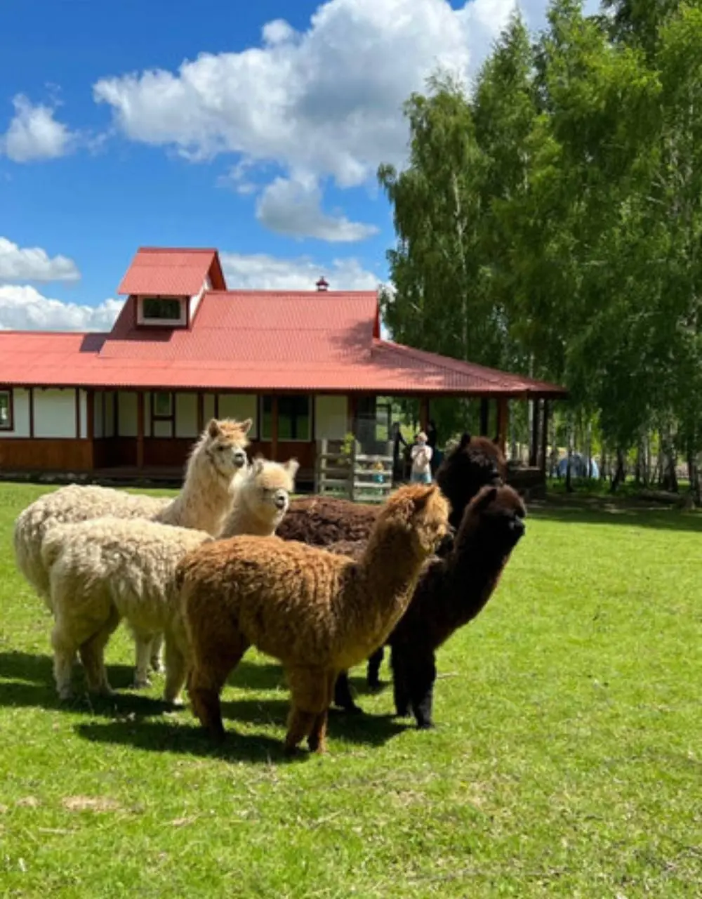 перезагрузка