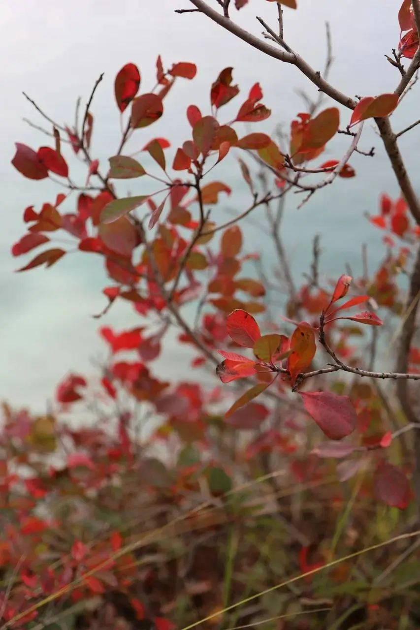 морской вояж