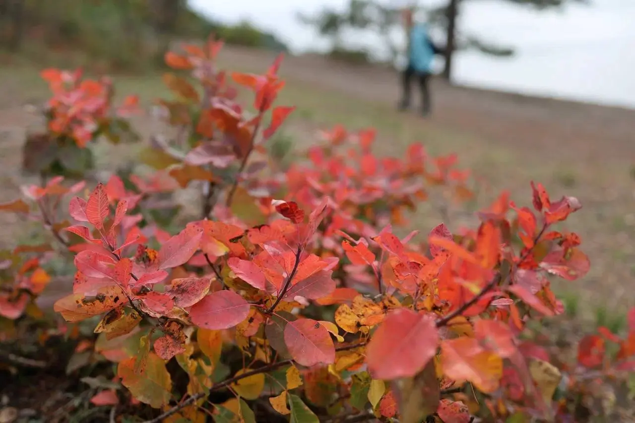 морской вояж