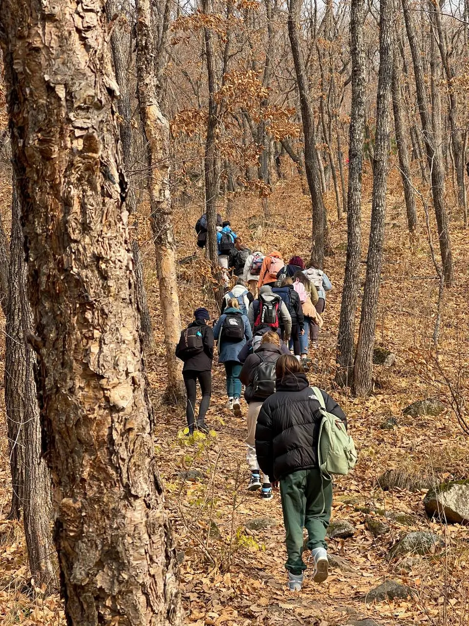 Ущелье Дарданеллы+скала Орёл и авторский чай — есть места на 3 ноября