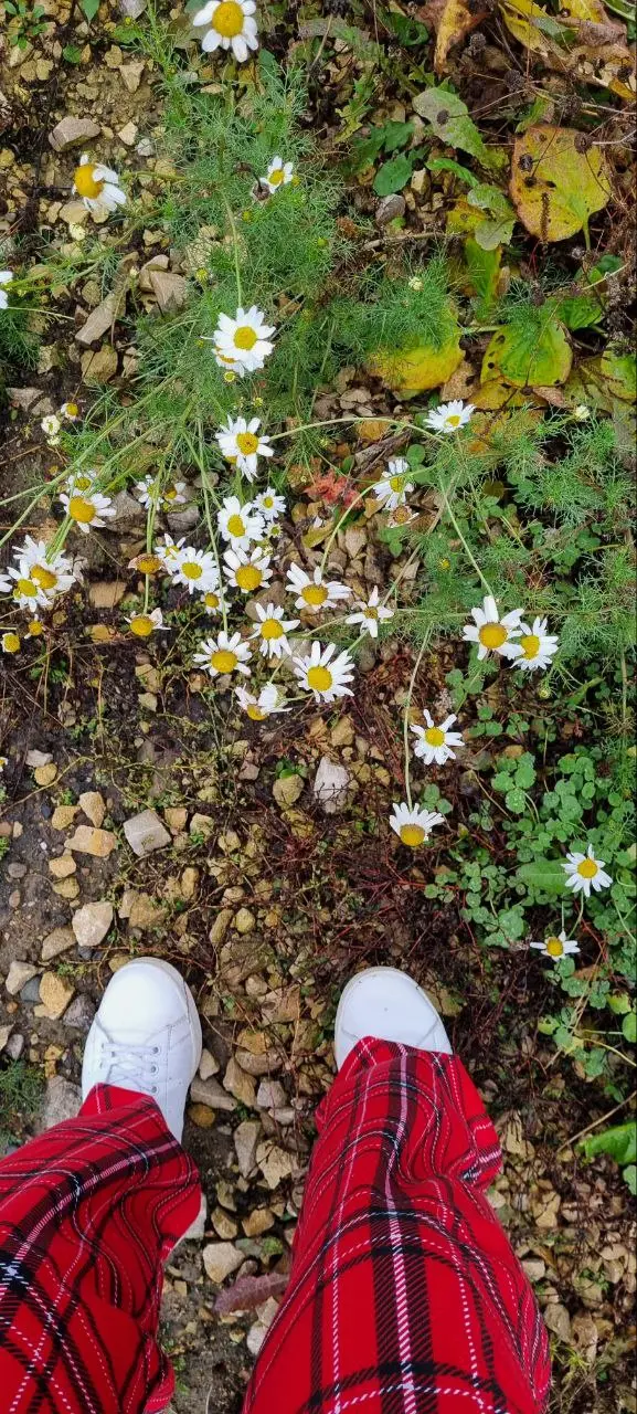 Великолепный сегодня день (как бы всё успеть)