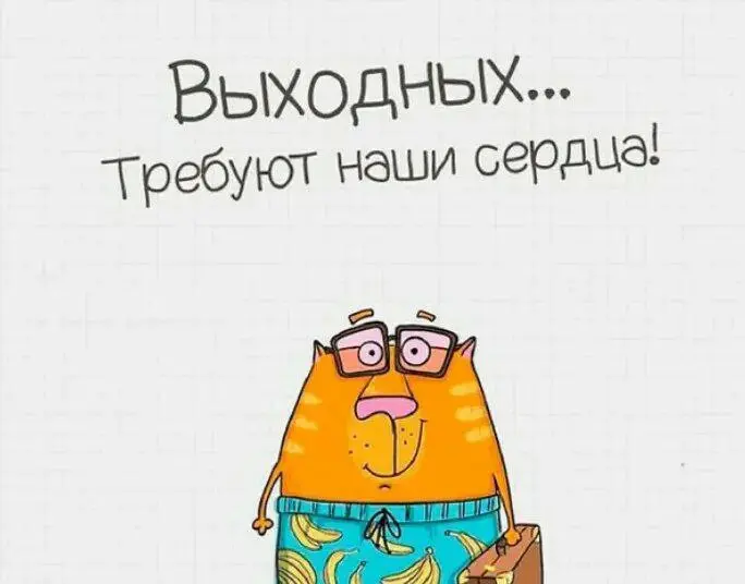 Выходные в Калининграде: 1 и 2, а также 3 и 4 ноября 2025 – Куда сходить?