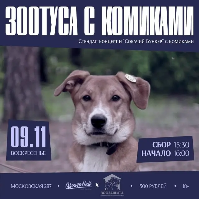 Благотворительный кинопоказ и другие мероприятия в Екатеринбурге фонд Зоозащита