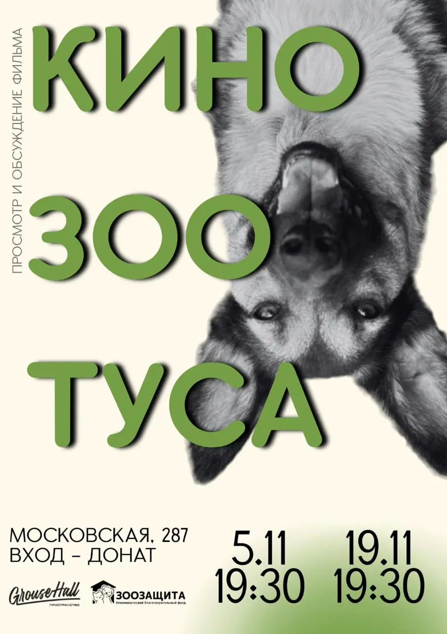 Благотворительный кинопоказ и другие мероприятия в Екатеринбурге фонд Зоозащита