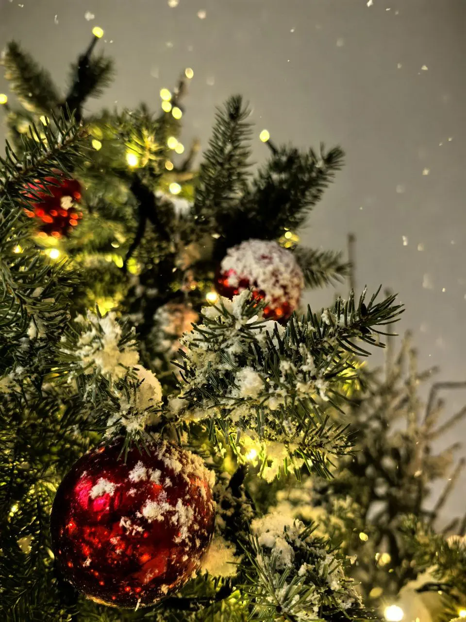 НОВОГОДНЯЯ МОСКВА