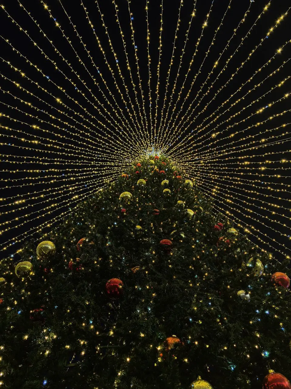 НОВОГОДНЯЯ МОСКВА