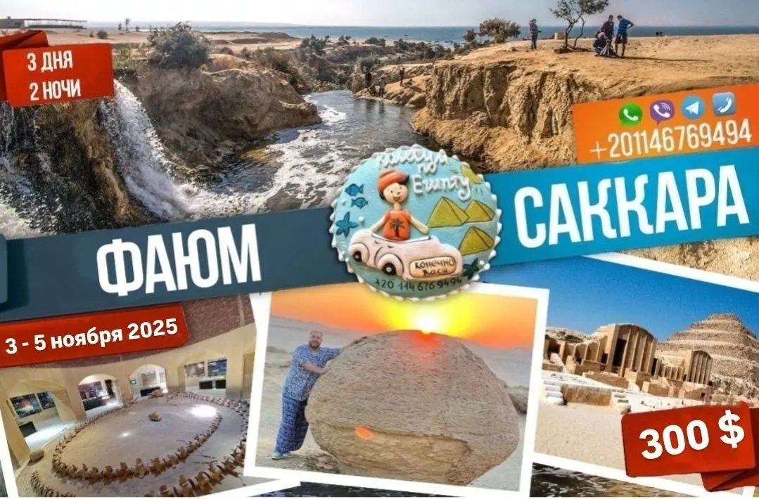 Фаюм поход: поездка на микробасе Toyota Hiace