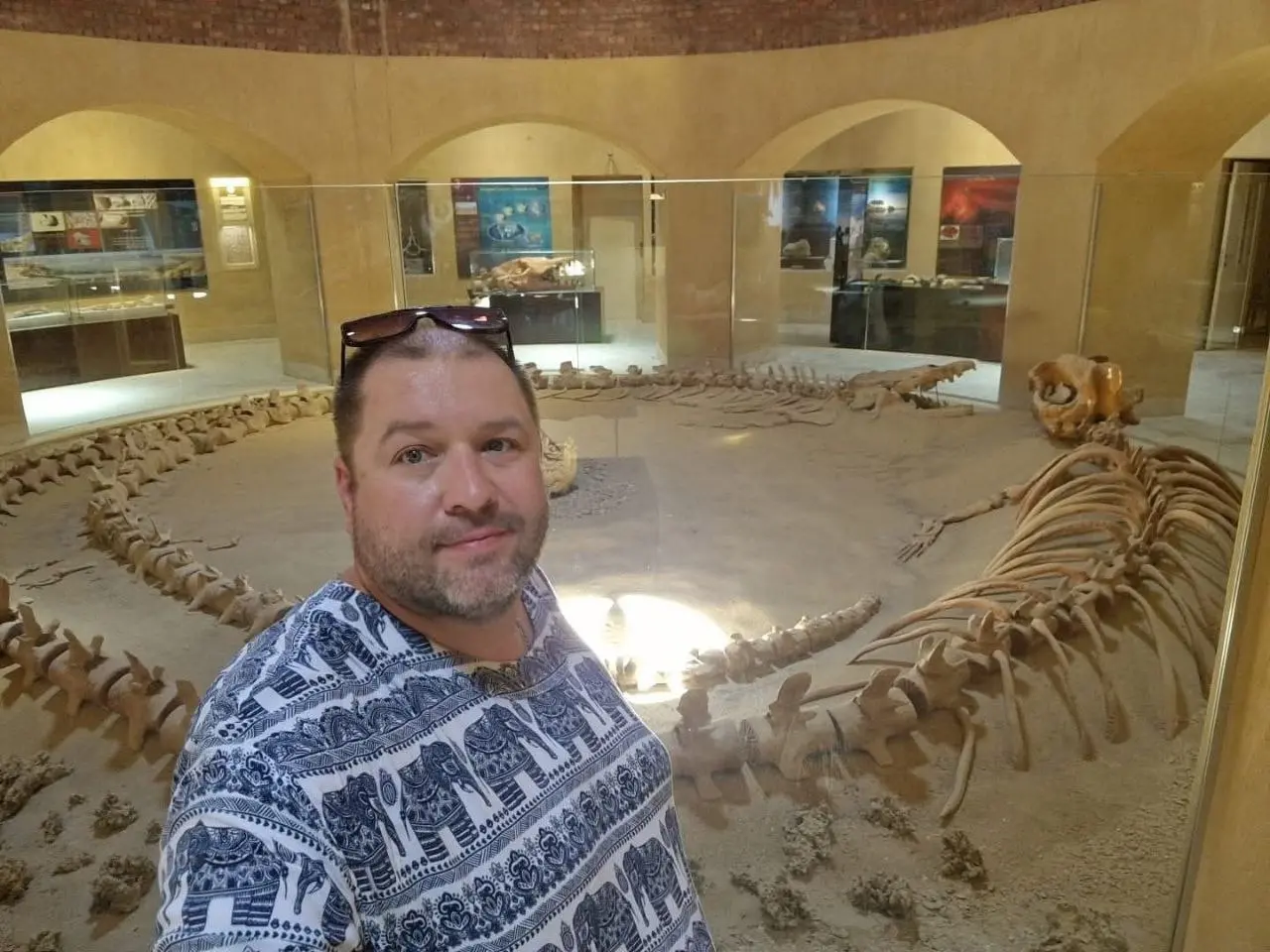 Фаюм поход: поездка на микробасе Toyota Hiace