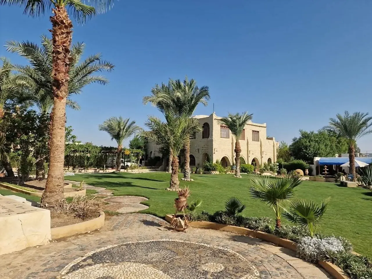 Фаюм поход: поездка на микробасе Toyota Hiace