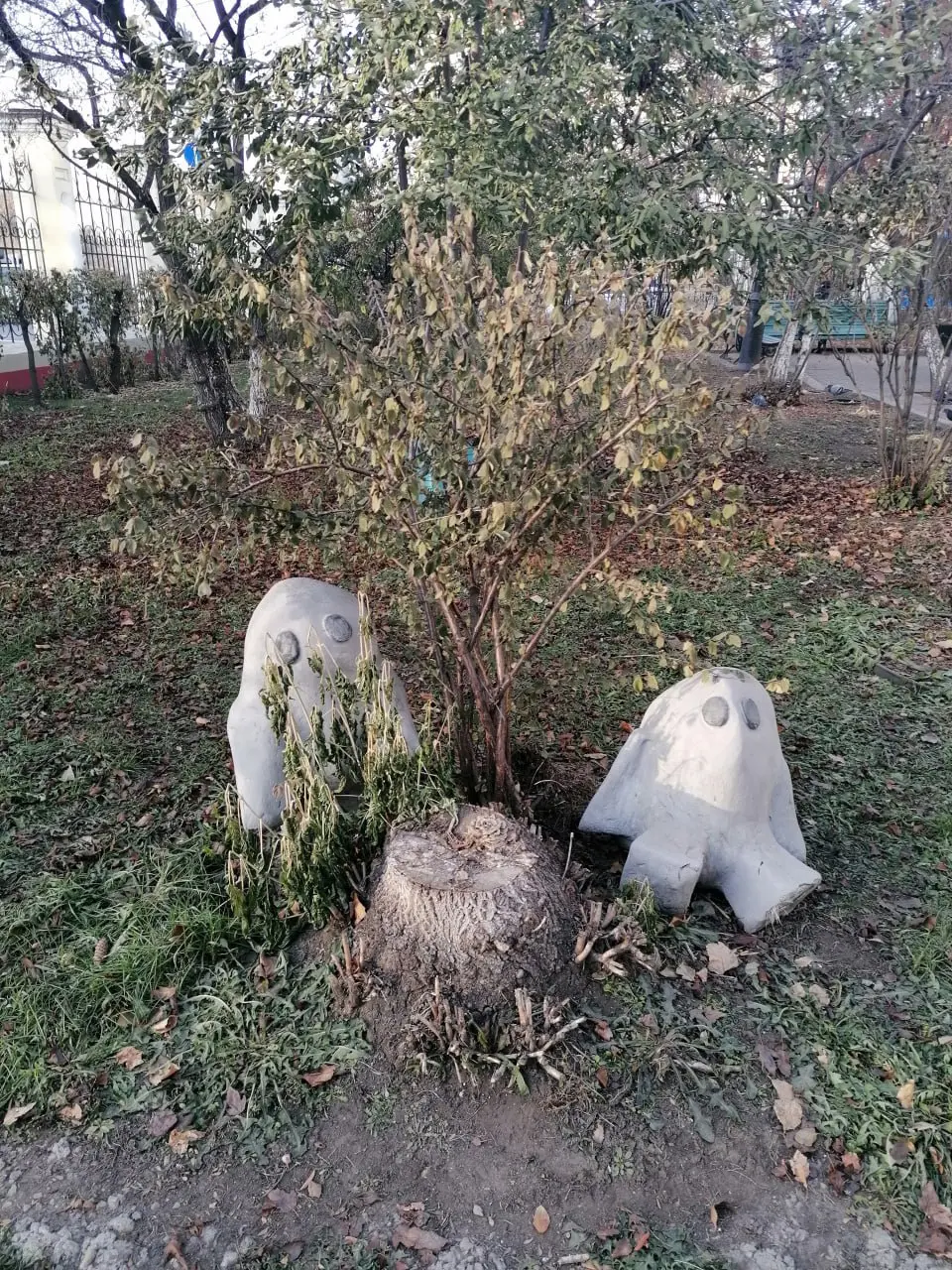 Древний Иркутск, Чайные истории Иркутска, Красная линия, Самая еврейская улица