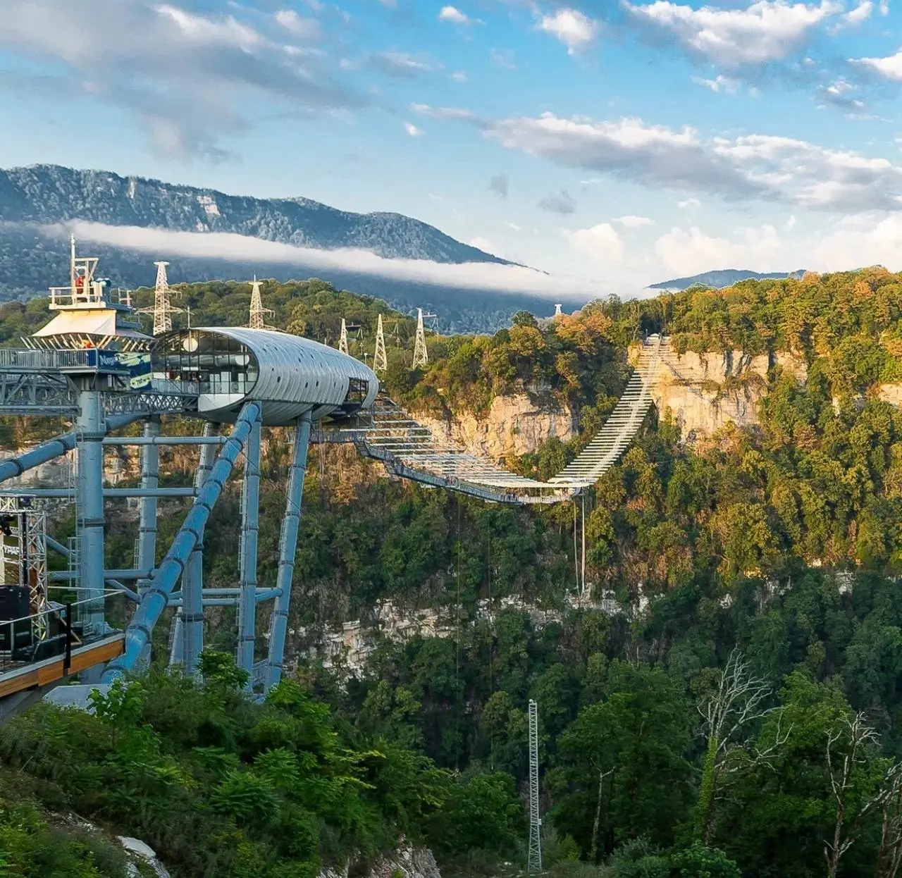 Ночь искусств в Художественном музее Сочи; Бесплатно в Skypark Sochi в тематических костюмах; Вечерняя экскурсия по дендропарку «Южные культуры»