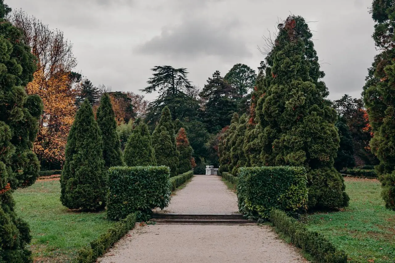 Ночь искусств в Художественном музее Сочи; Бесплатно в Skypark Sochi в тематических костюмах; Вечерняя экскурсия по дендропарку «Южные культуры»