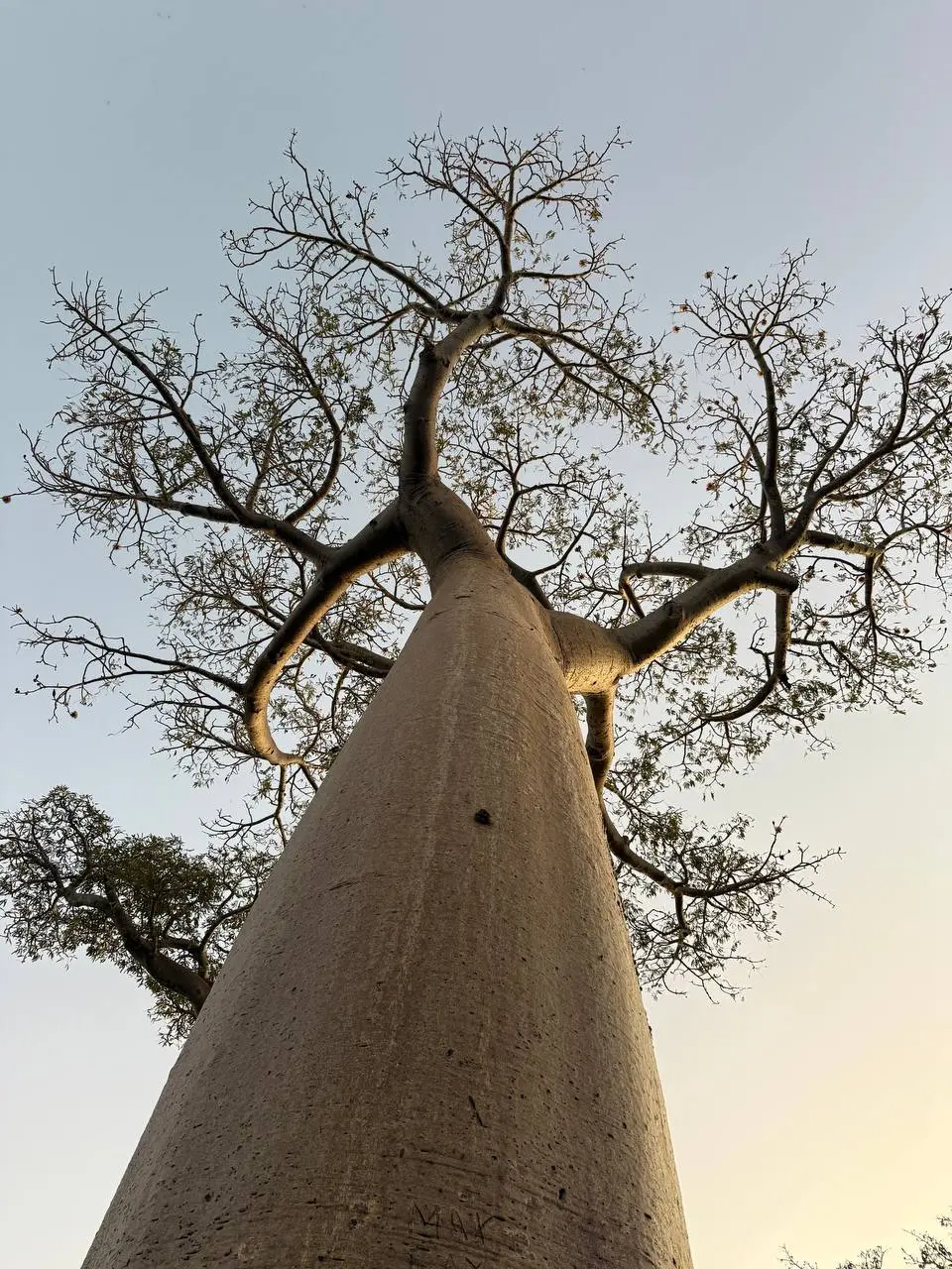 Семейное путешествие на Мадагаскар 8+