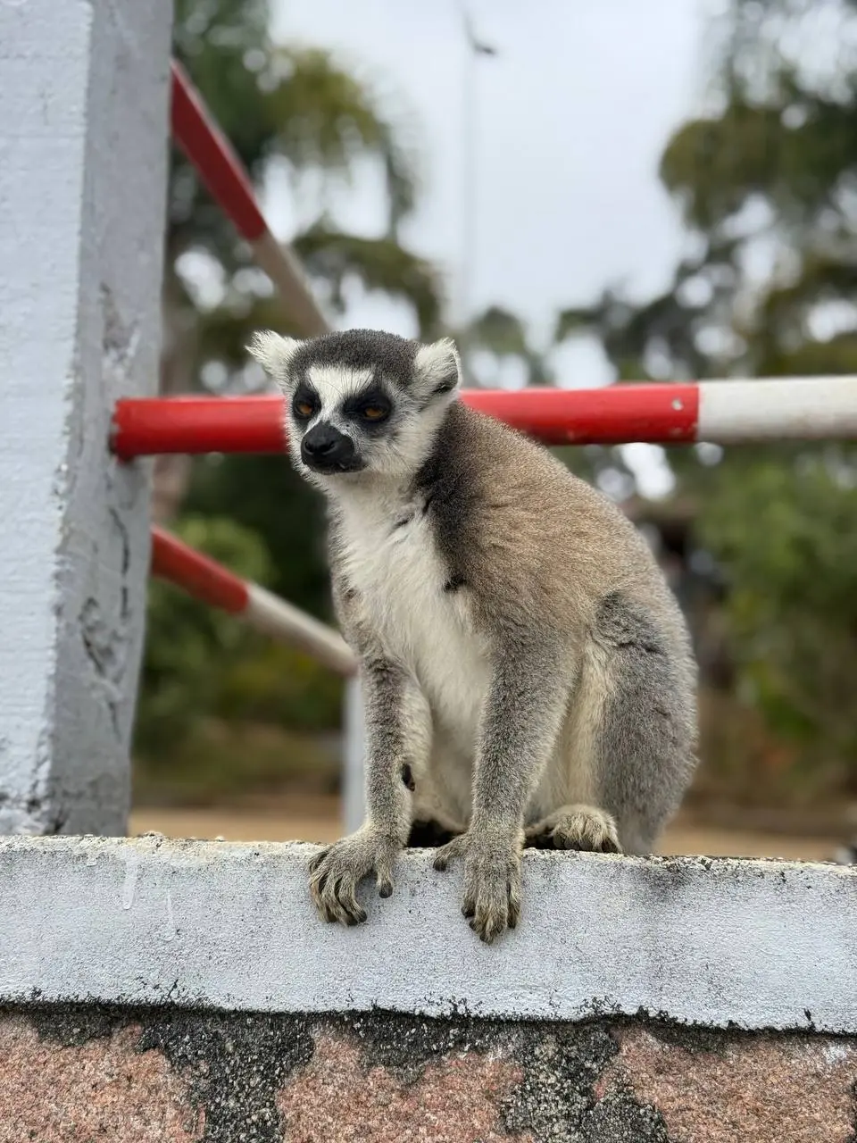 Семейное путешествие на Мадагаскар 8+