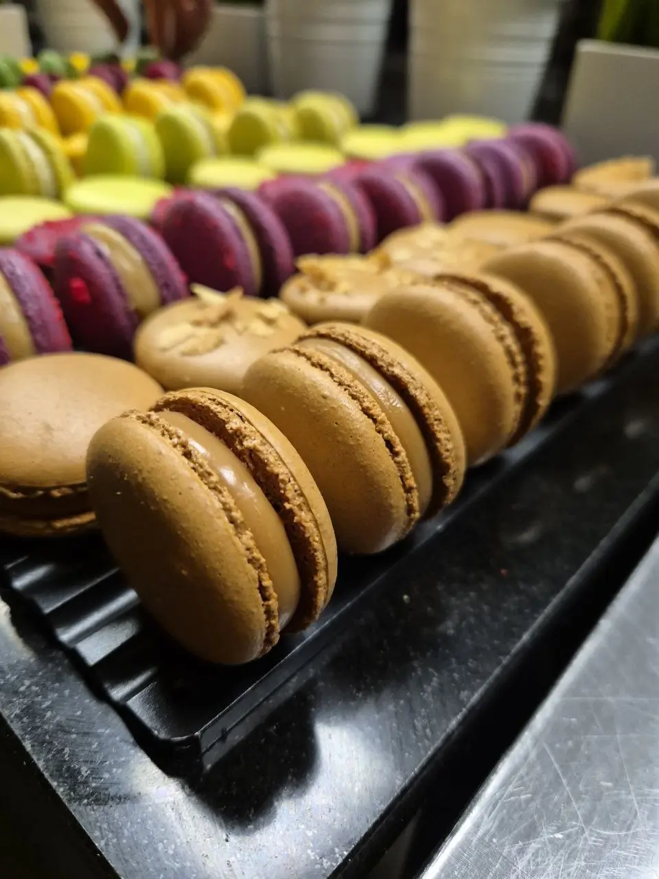 Современная кондитерская витрина. 3 дня и Венская выпечка. 3 дня