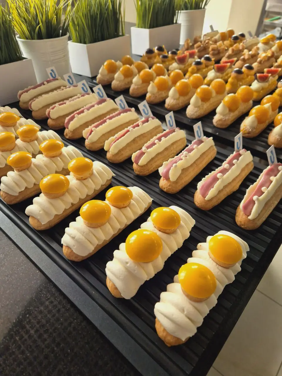 Современная кондитерская витрина. 3 дня и Венская выпечка. 3 дня