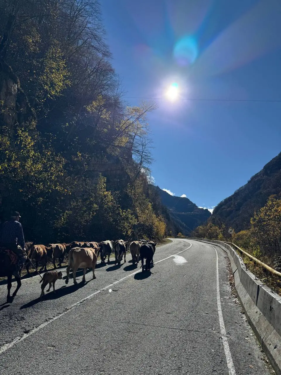 ЛИТБАР в Москве