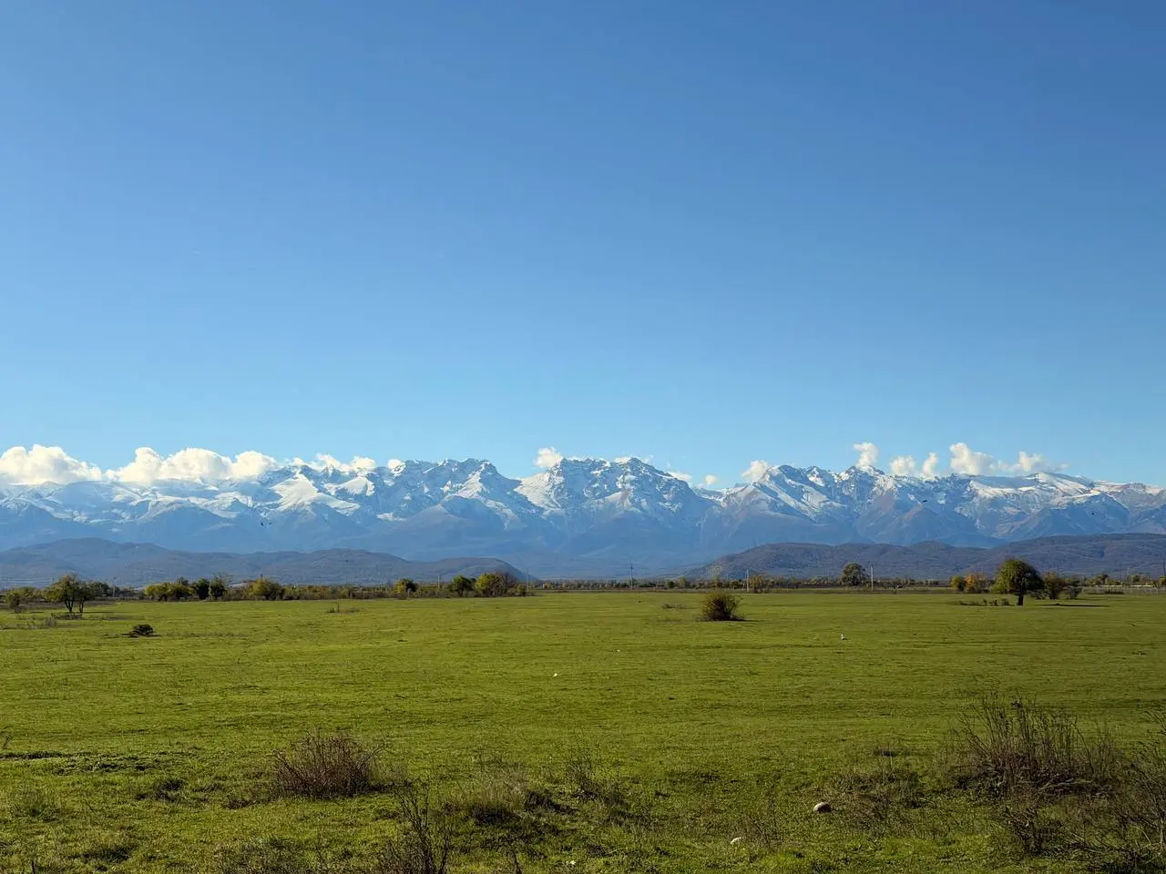ЛИТБАР в Москве