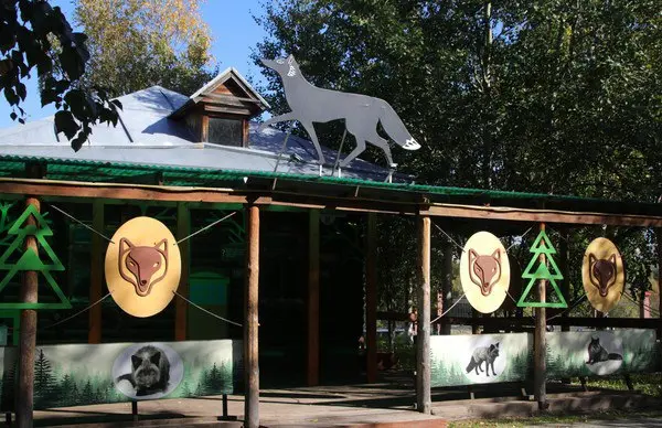 Экспозиция "Музей черного лиса"