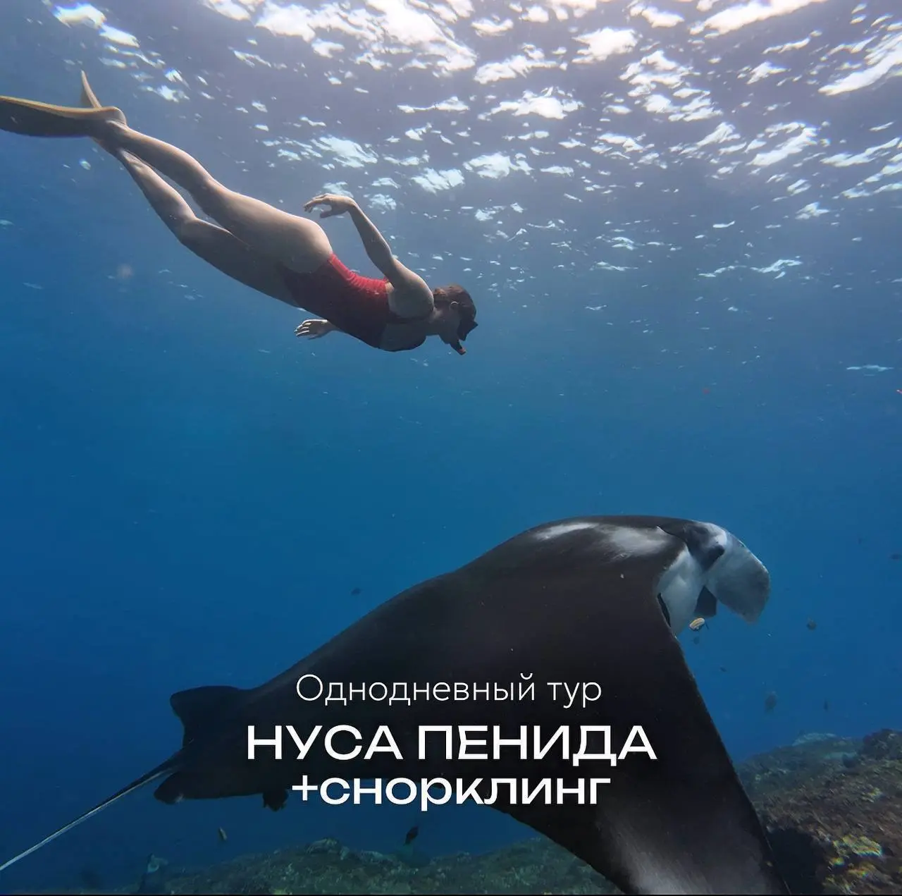 Однодневный тур: НУСА ПЕНИДА + Snorkeling