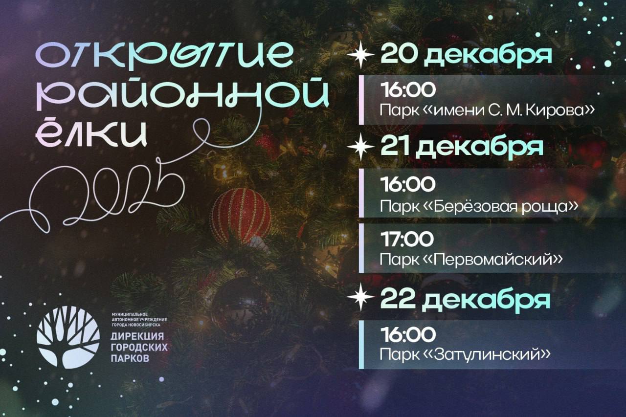 Праздник Открытие елки