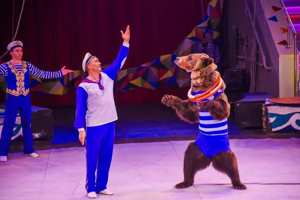 Тайна пирата