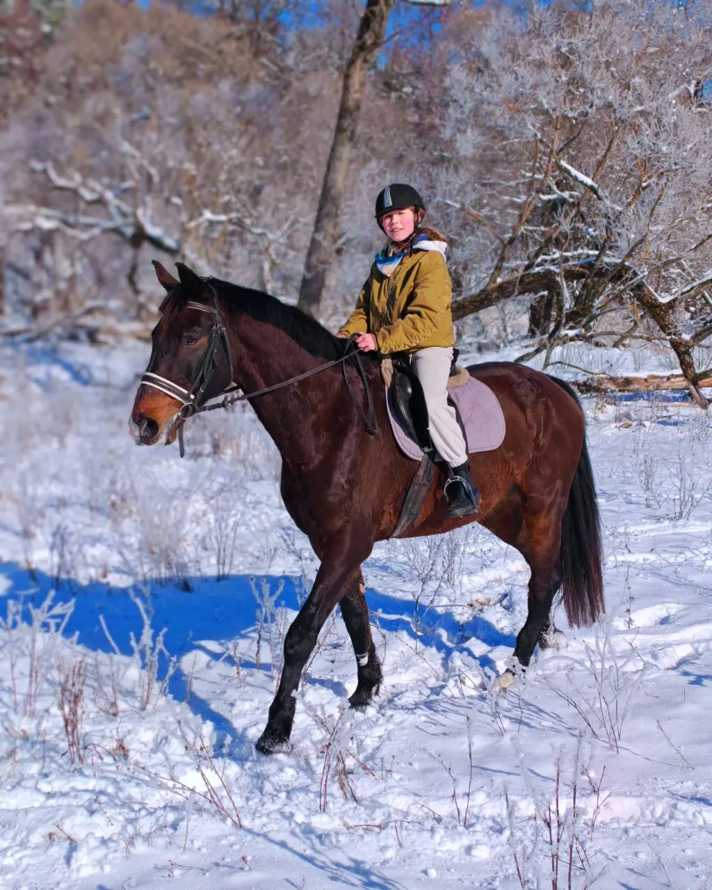 Год лошади в Конном Клубе "Таруса" Новогодняя смена