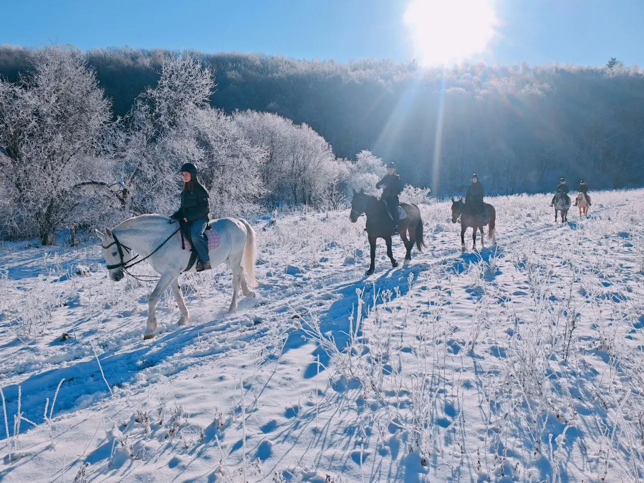Год лошади в Конном Клубе "Таруса" Новогодняя смена