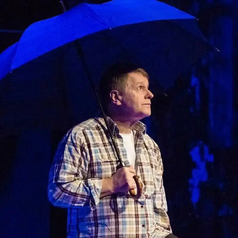 Идеальный свидетель