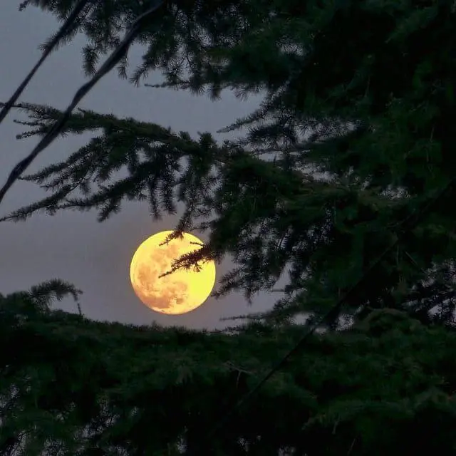 Наиболее крупное полнолуние 2025 года — суперлуние