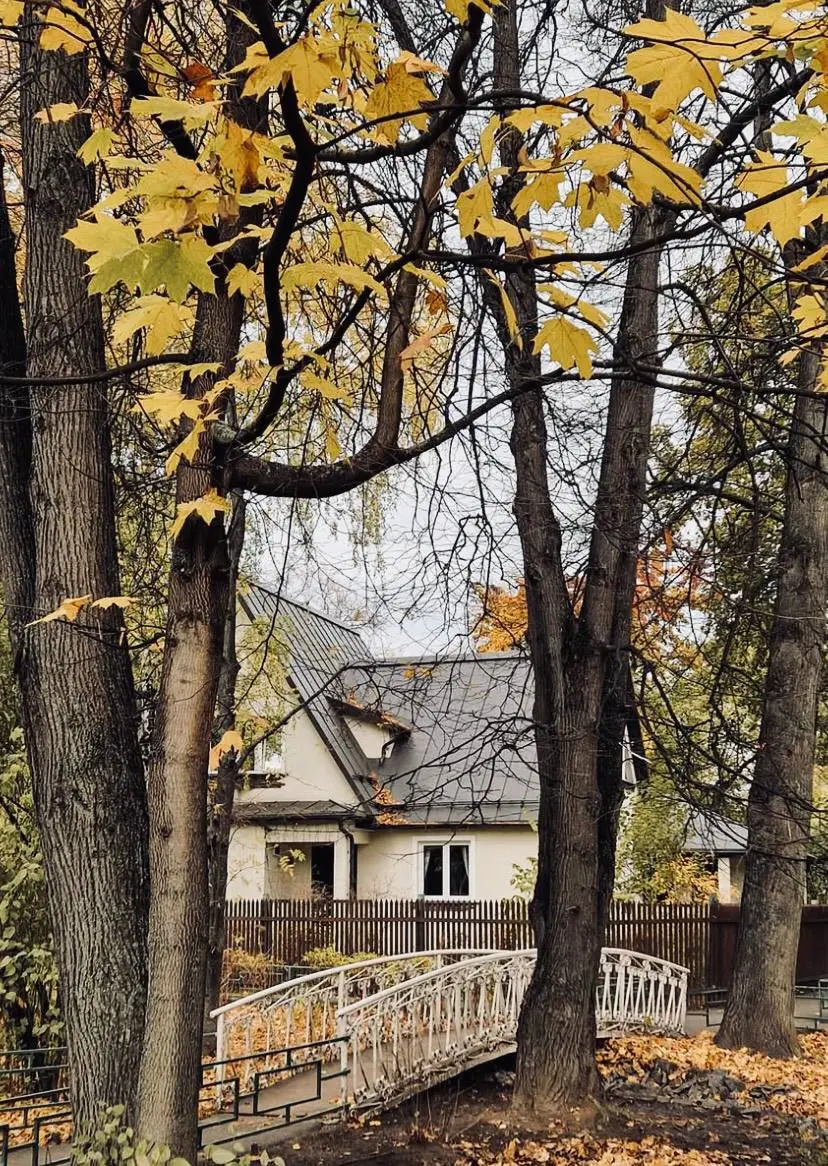 Прогулка по посёлку Сокол с краеведом Евгением Плиссом