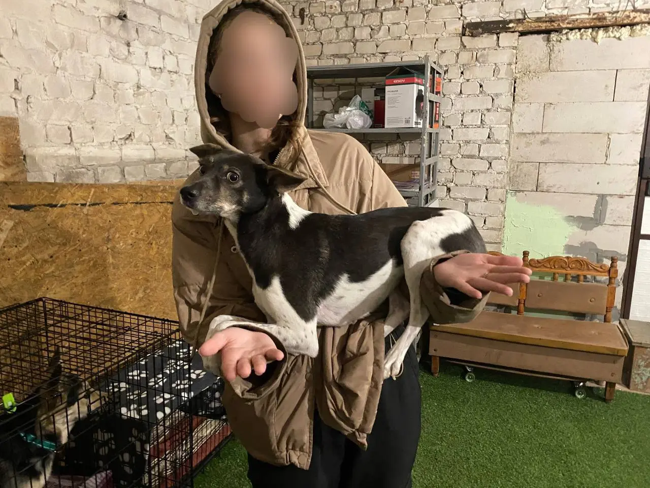 Ещё немного соревновательного) Если завтра не будет дождя, ждите интересное❤️ #аджилити