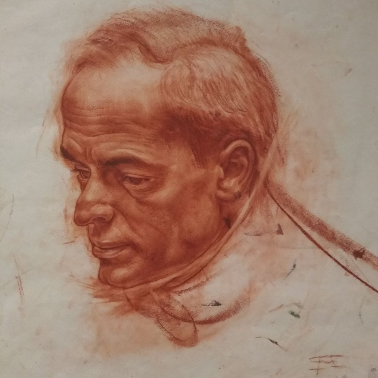 Выставка на берегах Невы