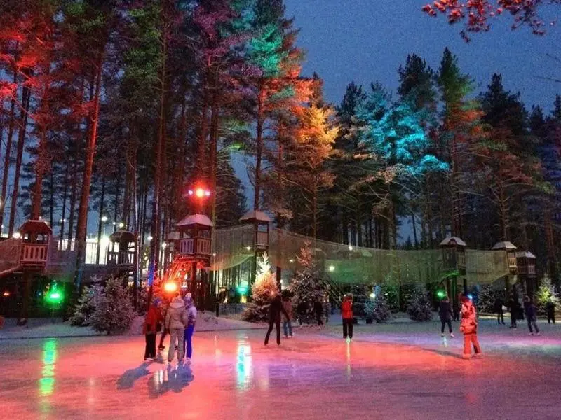 Первый каток сезона в Охта Парке — «Лесной каток»