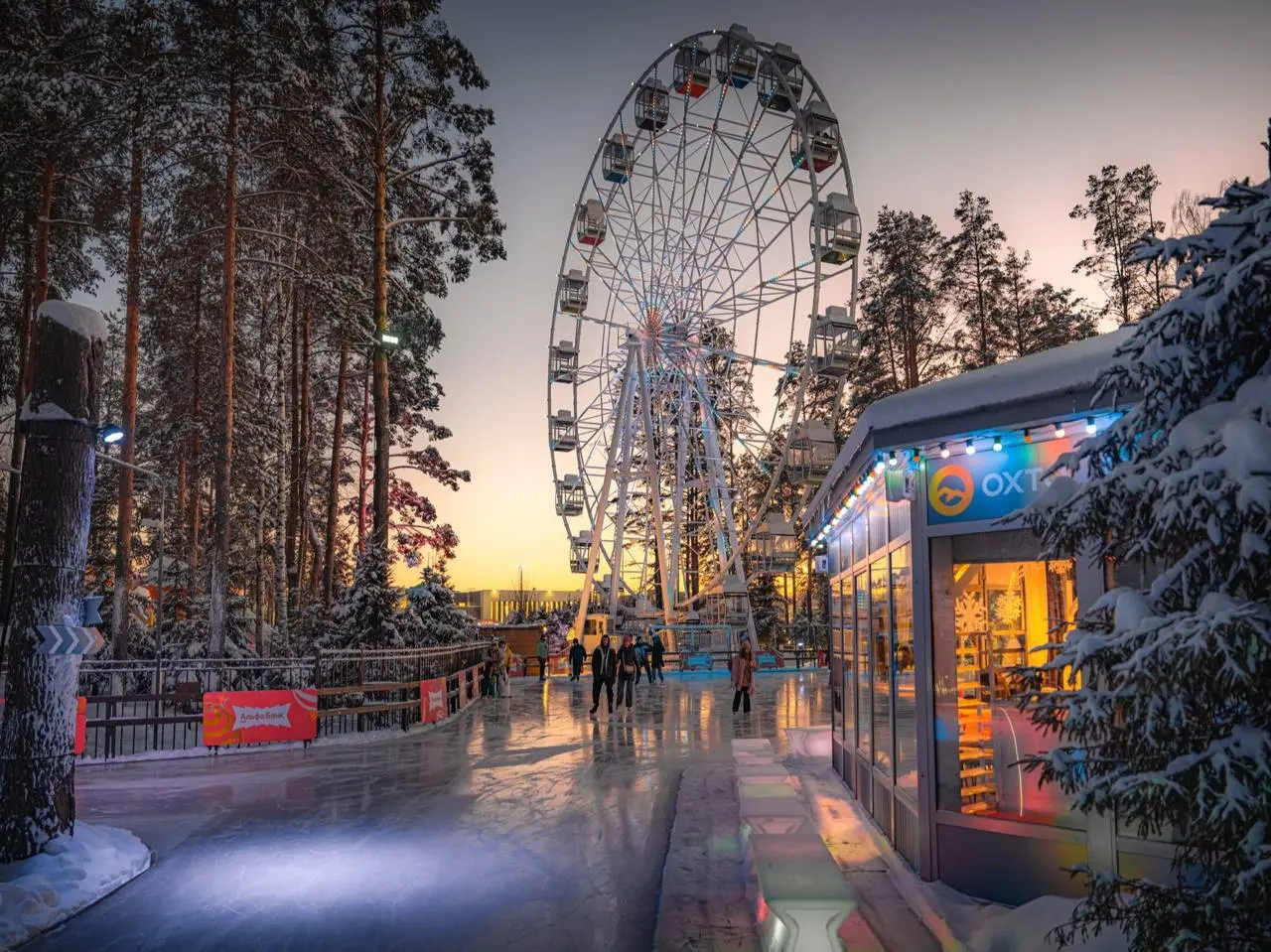 Первый каток сезона в Охта Парке — «Лесной каток»
