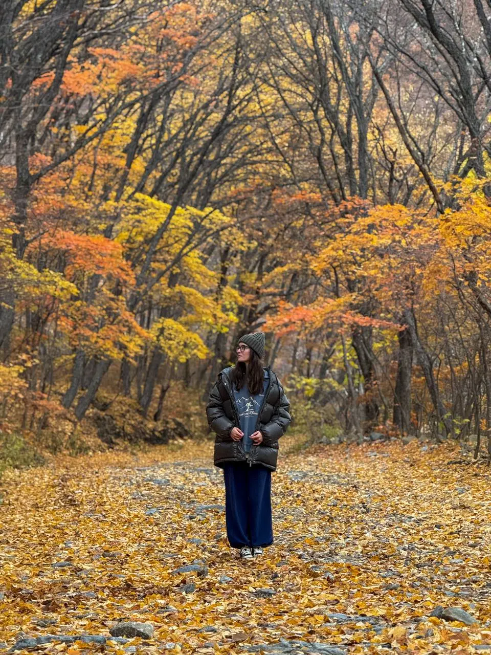 Фототур на полуостров Гамова в ноябре